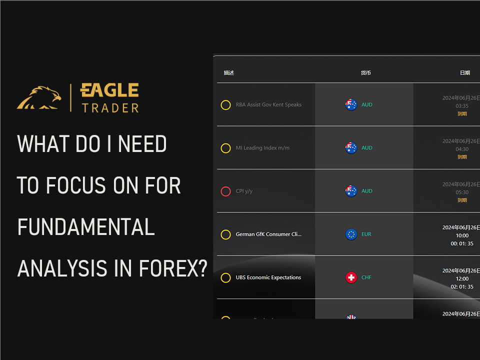外汇的基本面分析需要关注什么?